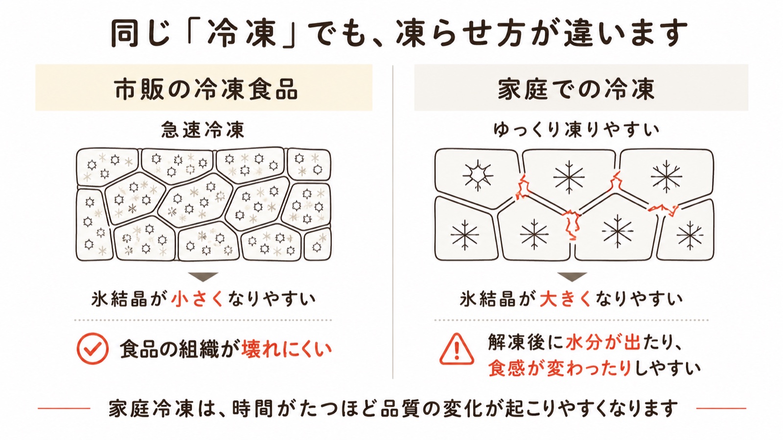 市販の冷凍食品は急速冷凍で氷結晶が小さくなりやすく食品の組織が壊れにくい。家庭での冷凍はゆっくり凍りやすく氷結晶が大きくなりやすいため、解凍後に水分が出たり食感が変わったりしやすいという比較図